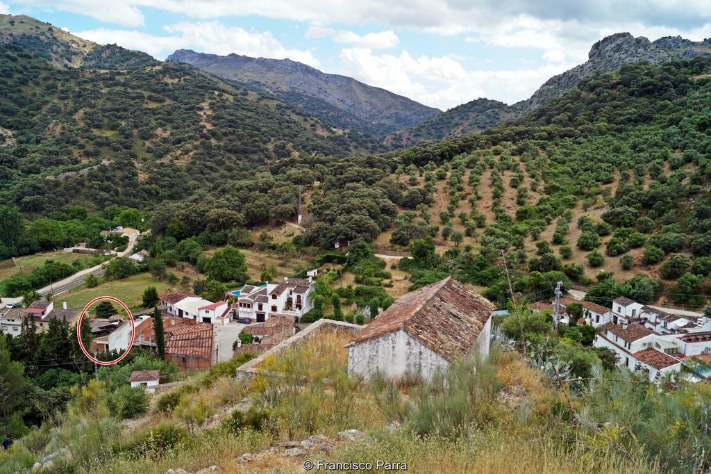 Casa Rural El Nacimiento Benaojan Exterior photo